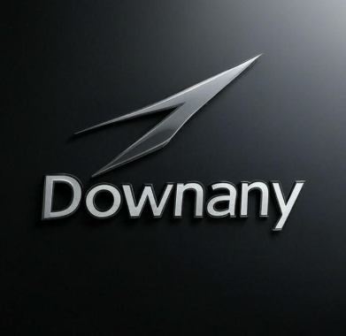 DownAny 标志